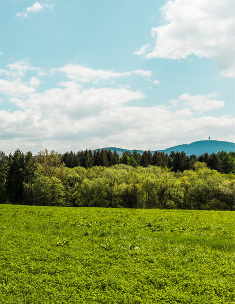 Spoznajte krásy oravy